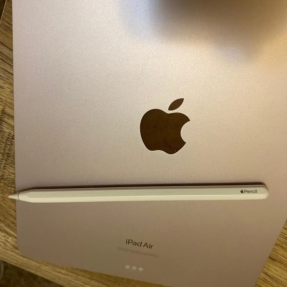 Apple iPad with Apple Pencil - Black and White